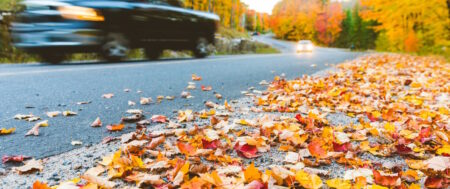 Fall Driving Safety Tips